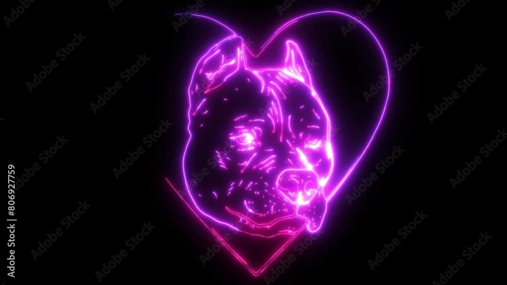 head pitubull dog with heart head pitubull dog with heart
