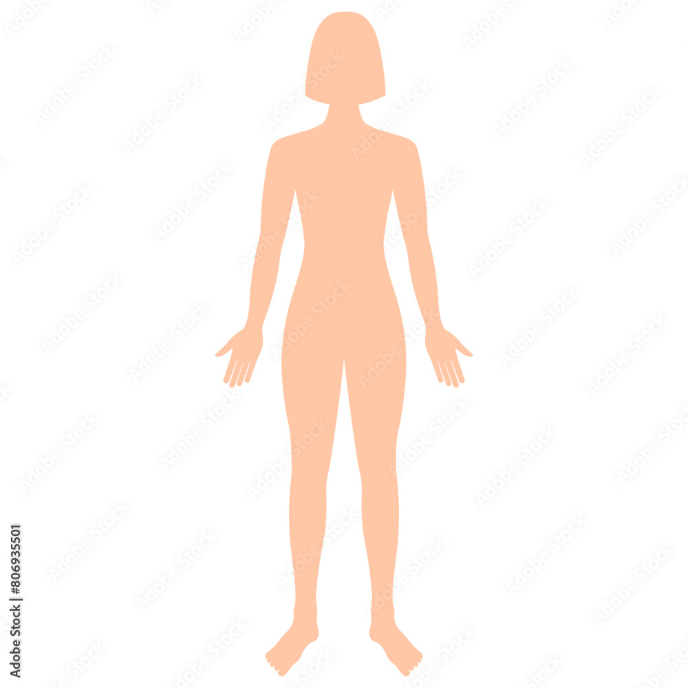 Systems of organs of the human body: circulatory, nervous, skeletal, digestive, male reproductive, female reproductive, respiratory and urinary systems. Anatomical vector illustration. Systems of organs of the human body: circulatory, nervous, skeletal, digestive, male reproductive, female reproductive, respiratory and urinary systems. Anatomical vector illustration.