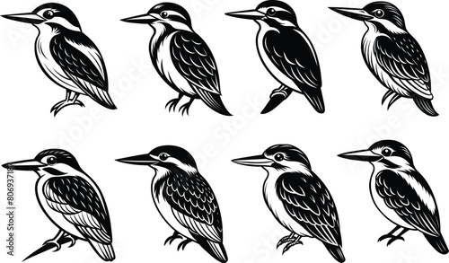 Set of kingfisher vector silhouette 
