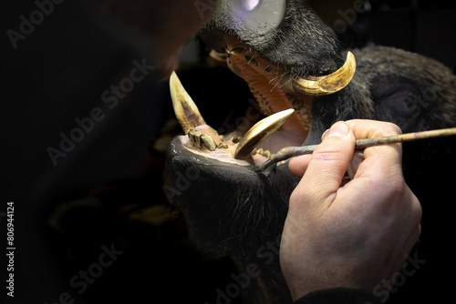 Cuadro en lienzo young man working on taxidermy in his workshop.