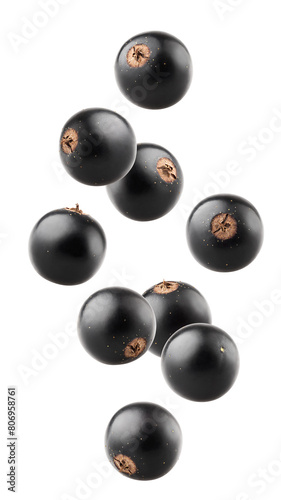 Falling Black currant isolated on white background, full depth of field