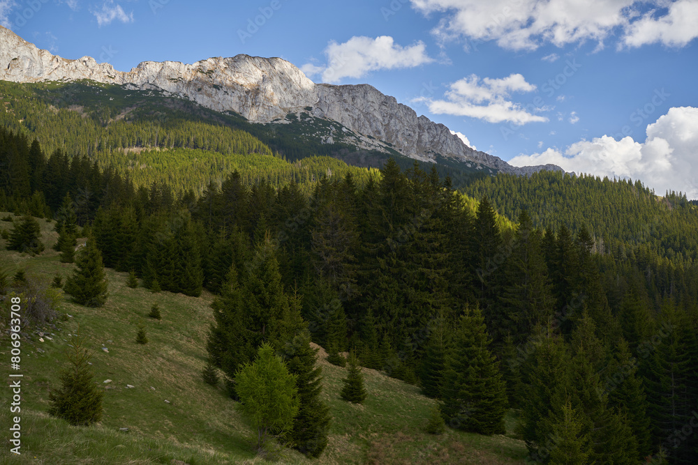 Rocky mountain peaks and pine forests