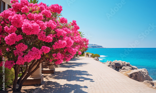 Beautiful resort with a pedestrian promenade and blooming colorful oleanders against the background of the Mediterranean sea and blue sky. photo
