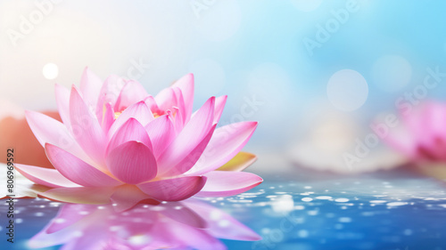 Pink water lily  lotus  on a blue water surface
