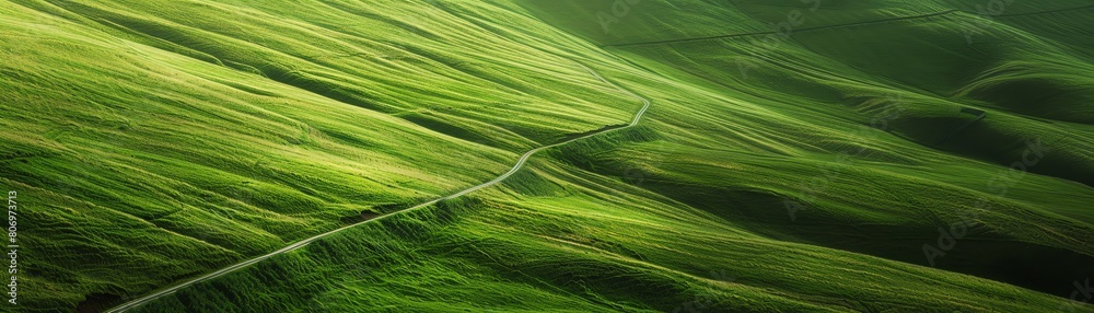A lush green hillside with a winding path leading through it. The rolling hills are covered in tall grass. The path is made of dirt and is surrounded by wildflowers. A lush green hillside with a winding path leading through it. The rolling hills are covered in tall grass. The path is made of dirt and is surrounded by wildflowers.