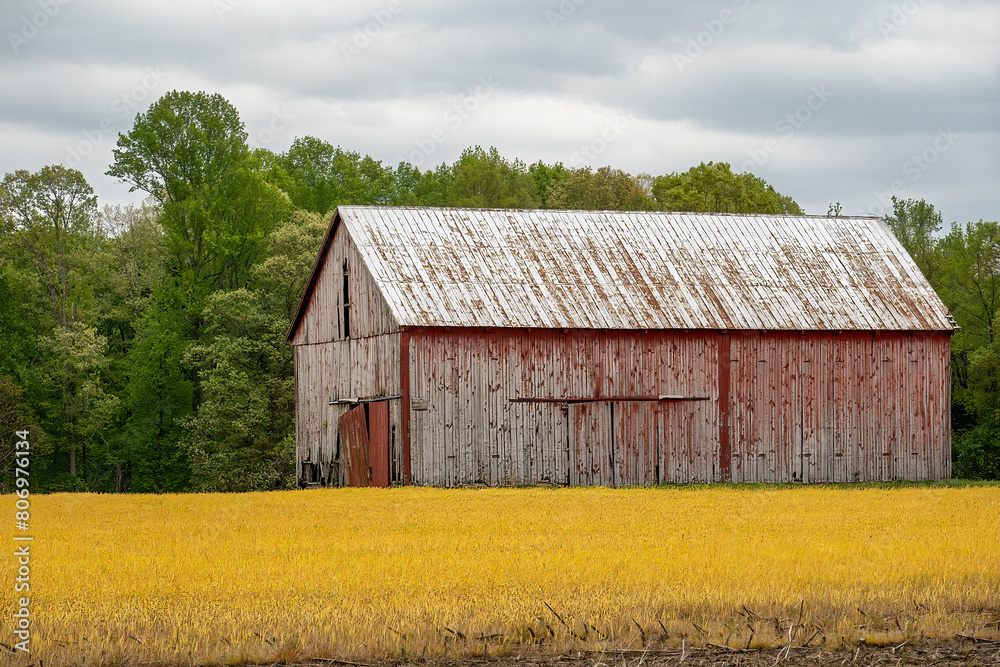 Prince Frederick, Maryland A weathered red barn in a yellow field 