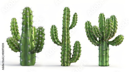carnegiea gigantea cactus bush isolated on white background 3d botanical illustration set photo