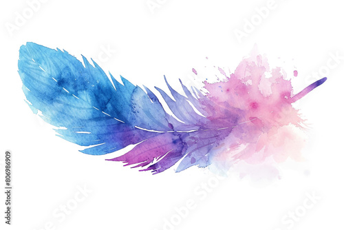 feather silhouette with subtle watercolors
