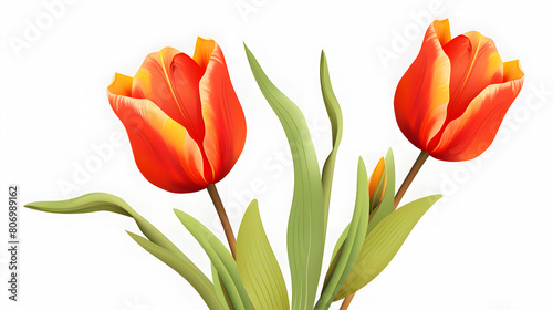 Digital tulip flower pattern abstract graphic poster background