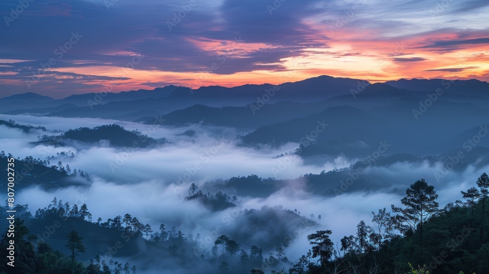 Perfect morning moment in alpine foggy valley. Location Carpathian national park