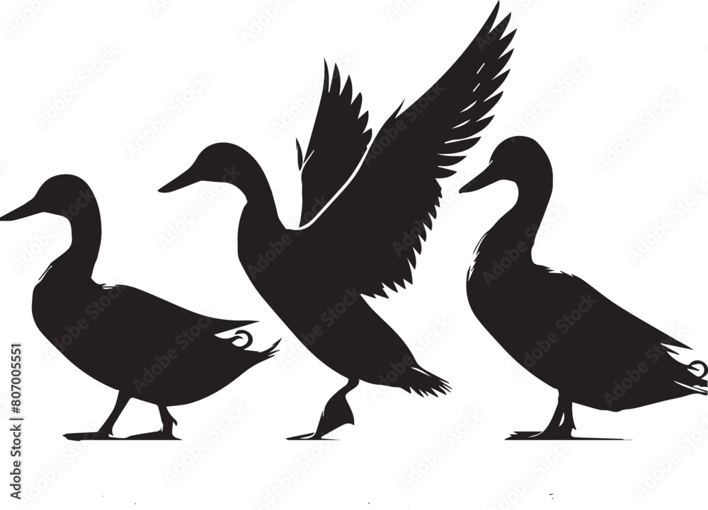 Fototapeta premium Duck silhouette isolated on white background. Duck logo.