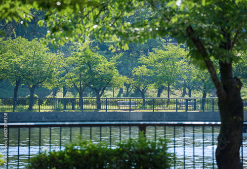 大阪の毛馬桜之宮公園