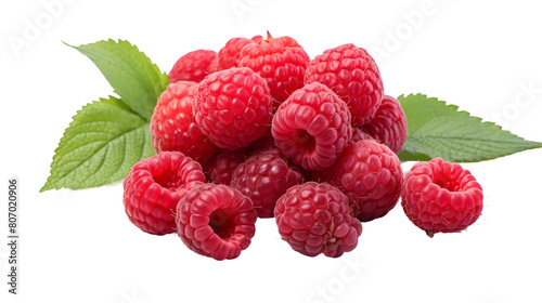 Vibrant Raspberry Display Isolated on Transparent Background PNG Format