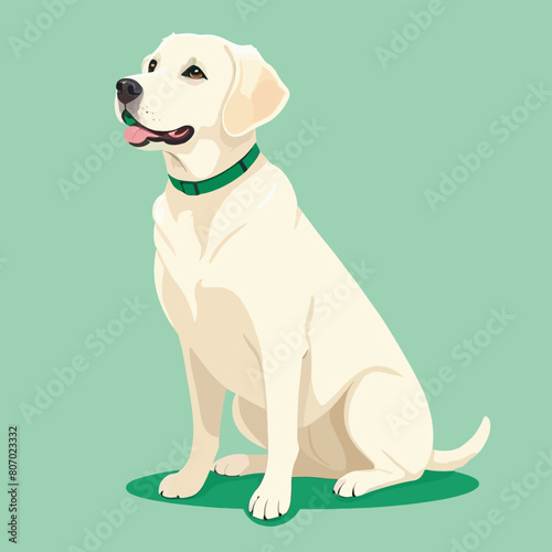 Vector illustration of a cute cartoon white labrador retriever sitting