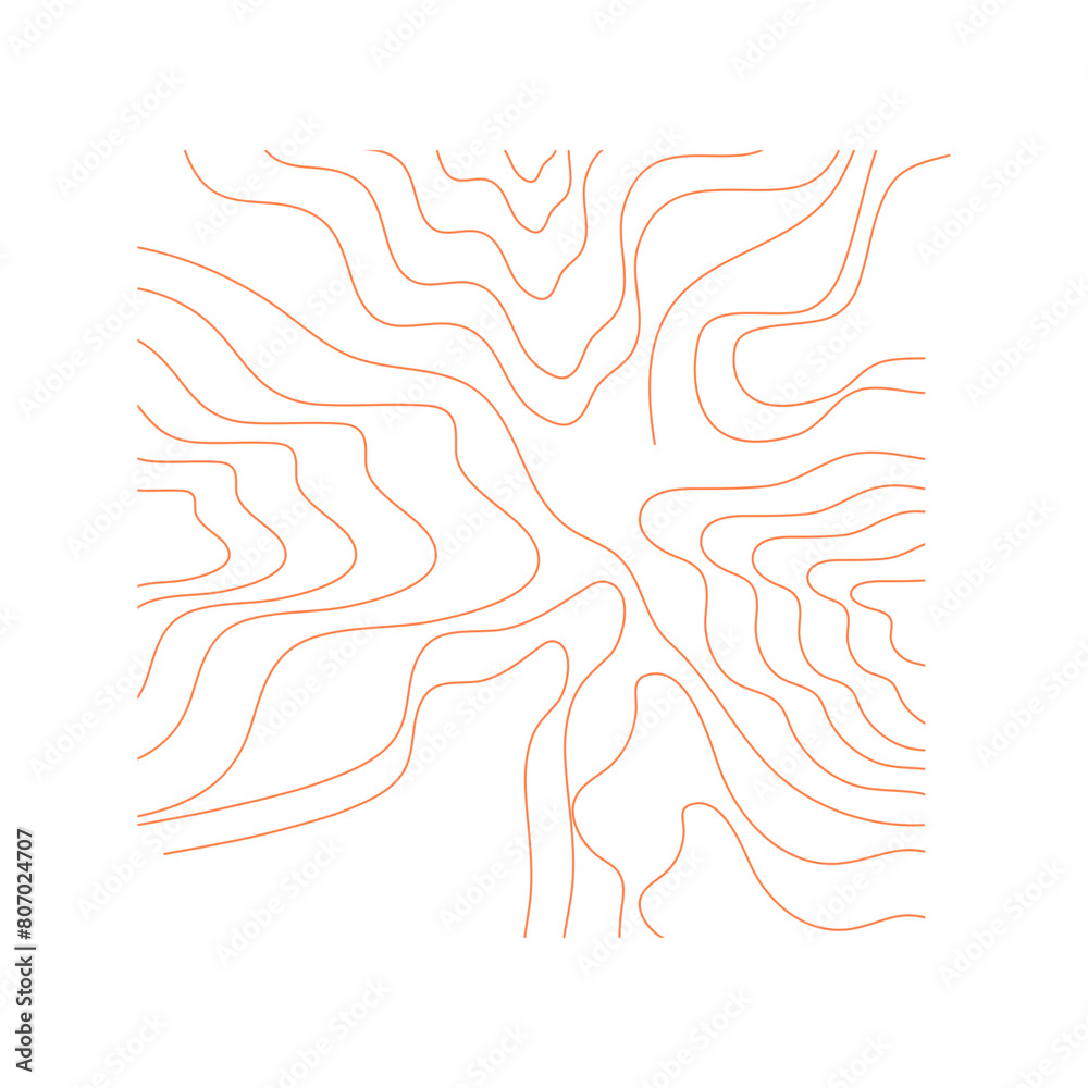 Fototapeta premium Topography Pattern Line