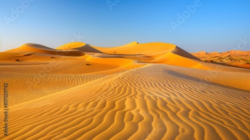 Golden Sand Dunes at Sunset in Vast Desert Landscape
