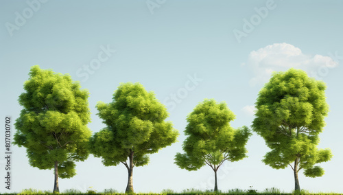 Depicting diverse trees sprouting from the soil  each reaching varying heights against a radiant sky backdrop.