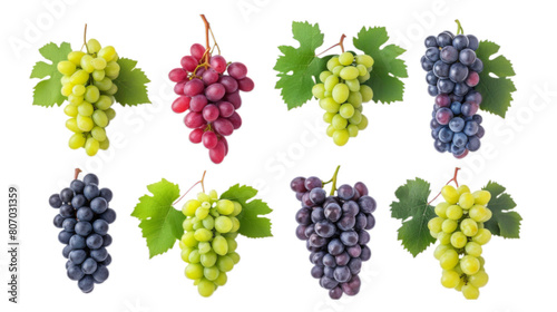 Set of grapes of different varieties and colors isolated on white background