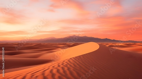 Sand dunes in the desert at sunset. Panoramic view © Michelle