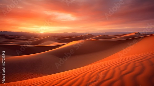 Desert sand dunes at sunset  panoramic view.