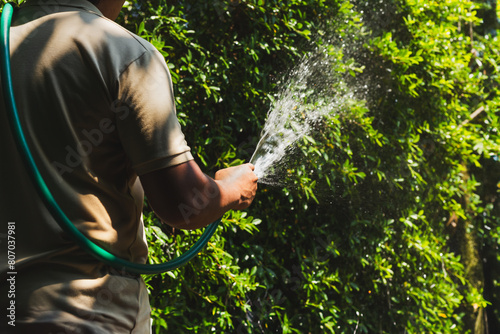 Man watering plant in the garden with hose.