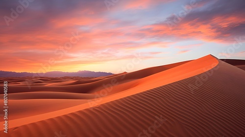 Sunset in the desert. Panoramic view of sand dunes.