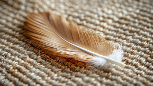 Single feather on woven fabric.