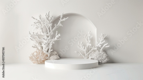 Minimalist display with white coral on a round pedestal against a plain background. Minimal modern abstract design. Empty copy space. Generative AI