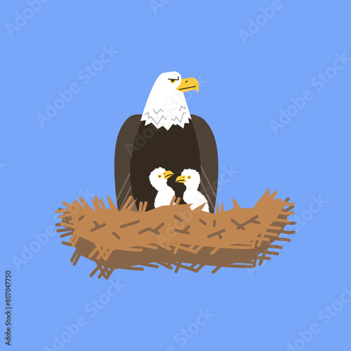 Eagle in a nest with chicks, Vector isolated illustration.