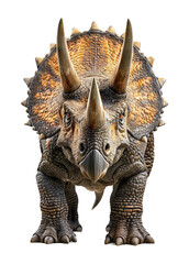 Triceratops Isolated on Transparent Background
