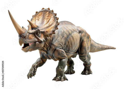Triceratops Isolated on Transparent Background 