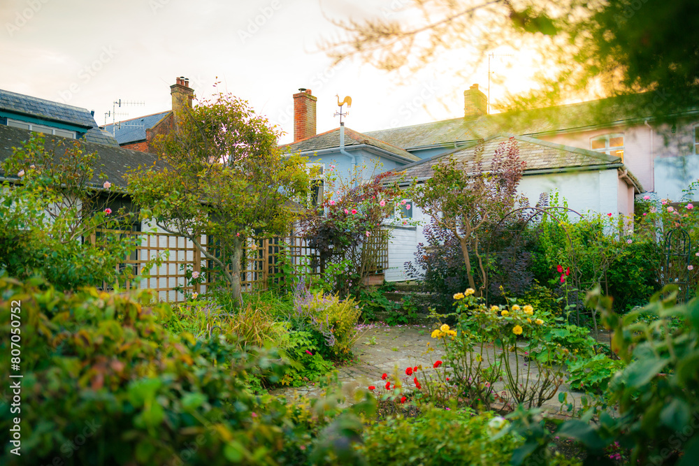 Φωτογραφία Wonderful, summertime wild garden seen in a terraced house located on the east coast of England