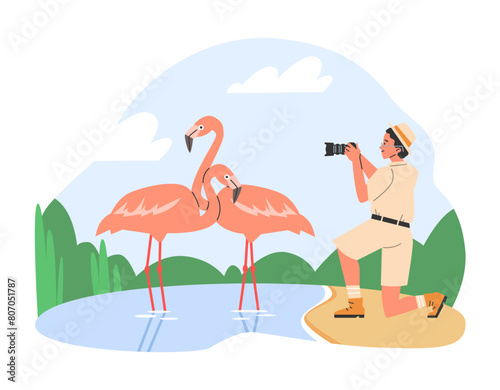 Couple of beautiful flamingos on the lake, vector cartoon tourist man, zoo park visitor taking pictures with camera