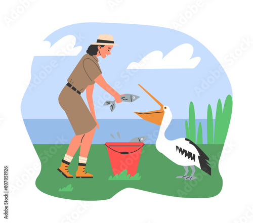 Zoologist feeding pelican vector illustration