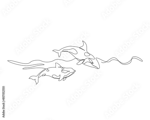 Continuous one line drawing of orca whales. Killer whale single outline vector design. Editable stroke.