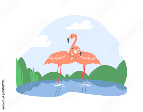 Flamingos in wetland vector illustration photo
