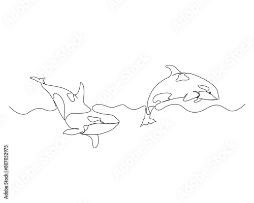 Continuous one line drawing of orca whales. Killer whale single outline vector design. Editable stroke.