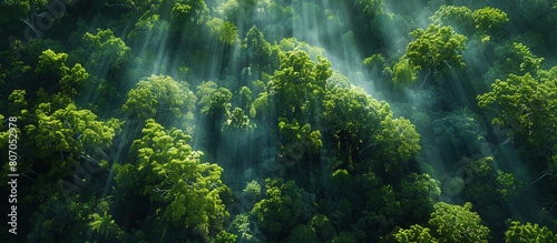  A lush forest canopy seen from above, with sunlight filtering through the trees and creating dappled patterns on the forest floor, the scene captured in stunning 32k resolution to showcase the beauty photo