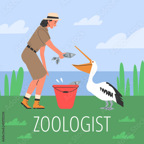 Vector flat illustration of a zoologist girl feeding a white pelican with fresh fish photo