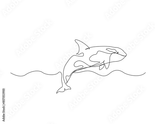 Continuous one line drawing of orca whale. Killer whale single outline vector design. Editable stroke.