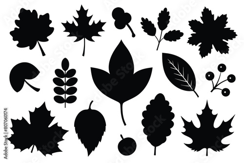 Set of autumn silhouettes of leaves and berries. Isolated on white background