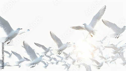 A flock of white birds flying in the sky