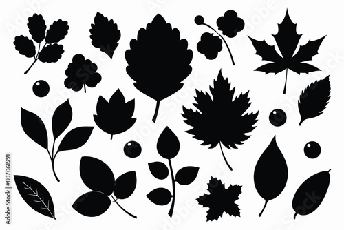 Set of autumn silhouettes of leaves and berries. Isolated on white background