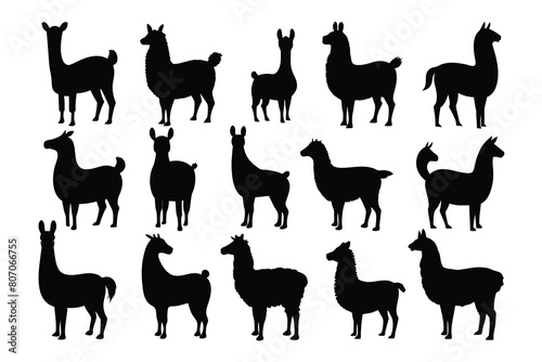 Set of Llama black Silhouette Design with white Background and Vector Illustration photo