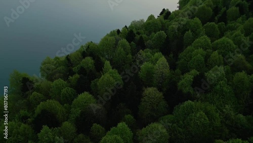 dense forest on the shore of a mountain lake, flying over a lake, aerial view photo