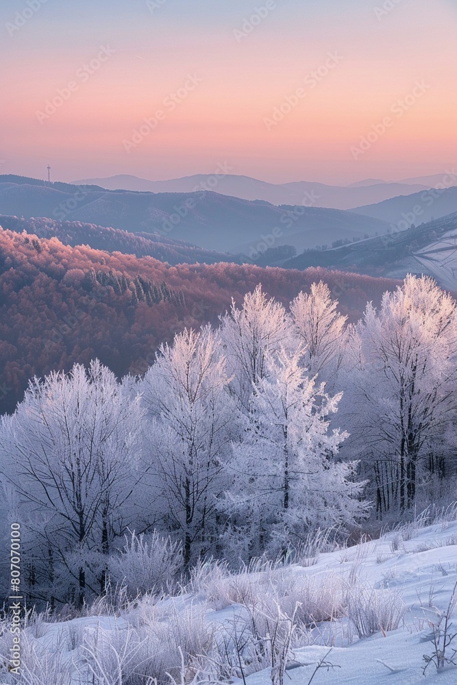 Calm mountain scenery, frosted trees, soft pastel sunrise, detailed textures, closeup view