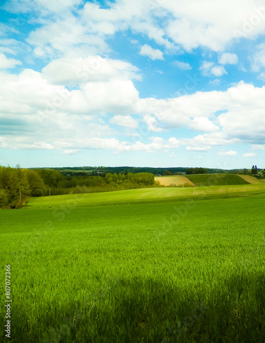 Green fields in Kashubia region - Northern Poland. photo