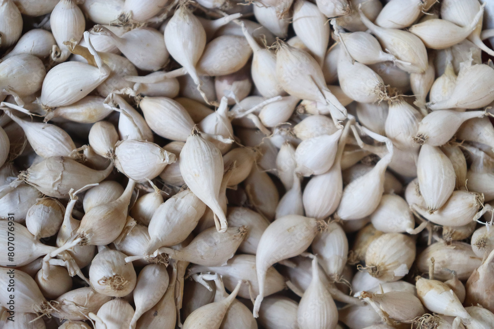 Close-up local garlic pile for sale at a market. Bunch of fresh white garlic background. Fresh garlic is a healthy vegetable. Close-up local garlic pile for sale at a market. Bunch of fresh white garlic background. Fresh garlic is a healthy vegetable.