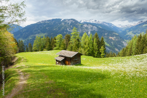 Berghütte auf einer Waldlichtung in den Alpen photo