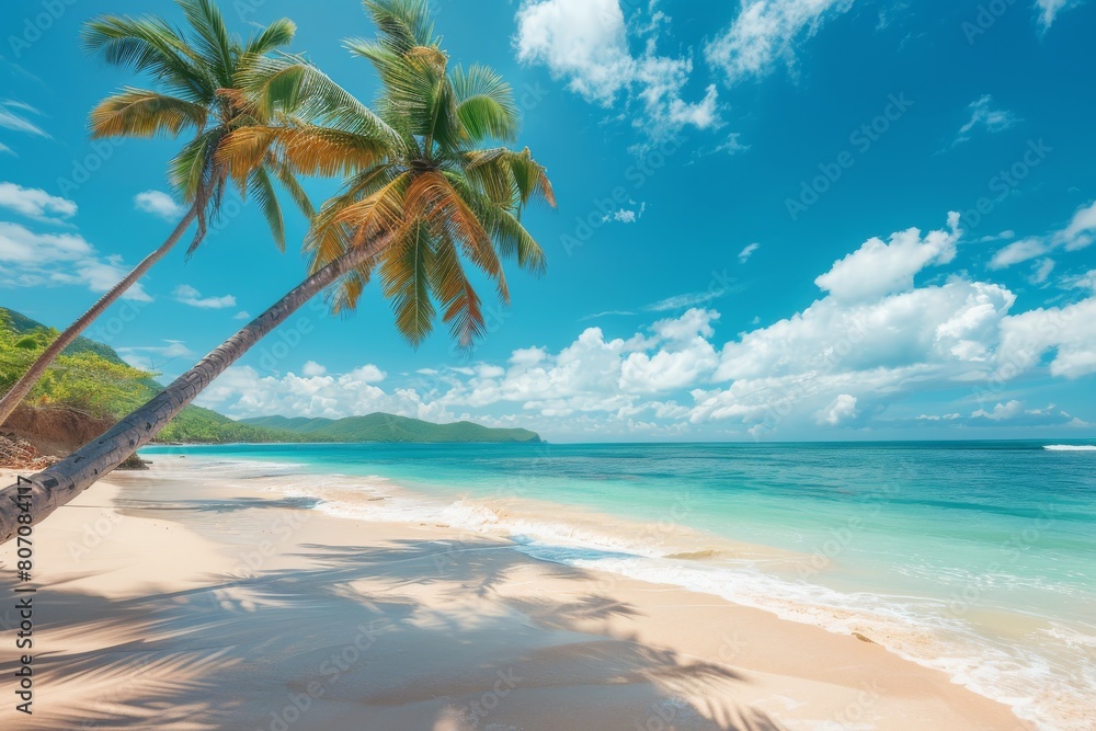 Beach with palm trees and sea on a clear day